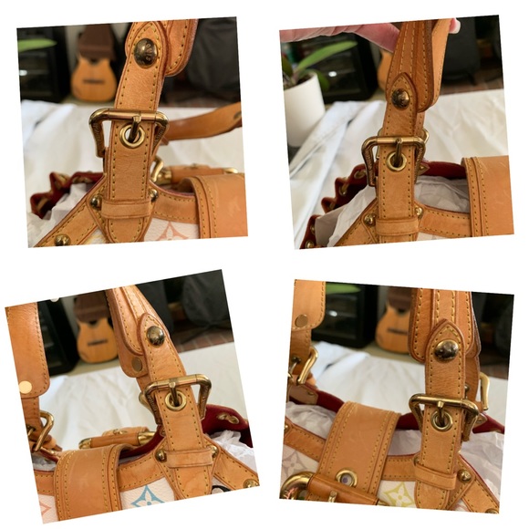 LOUIS VUITTON Ltd. Edition Multicolor Theda GM Bag - Picture 7 of 12